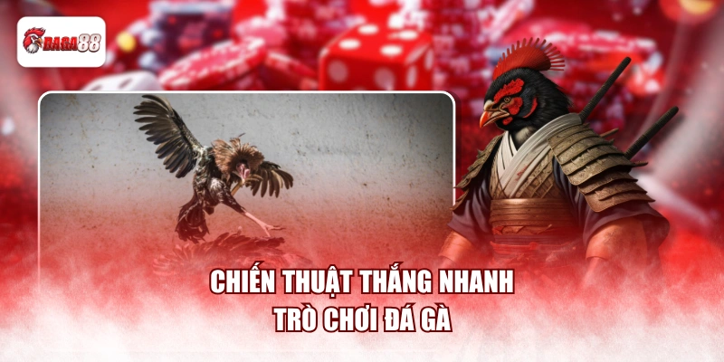 Chiến thuật thắng nhanh trò chơi đá gà
