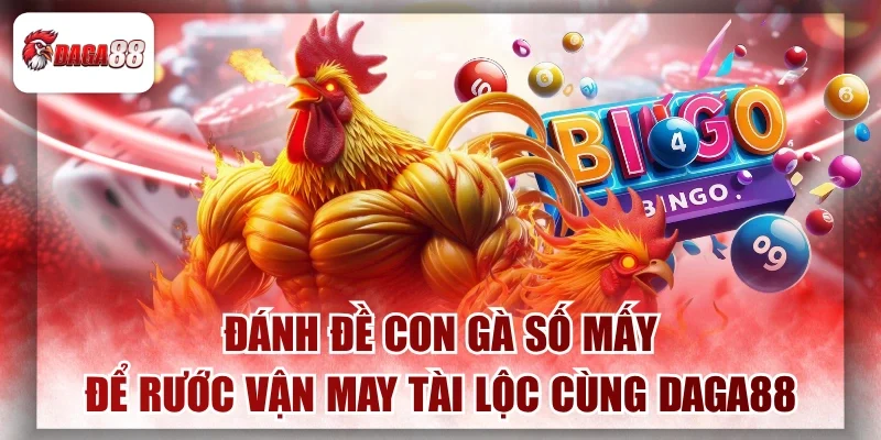 Đánh Đề Con Gà Số Mấy Để Rước Vận May Tài Lộc Cùng Daga88 