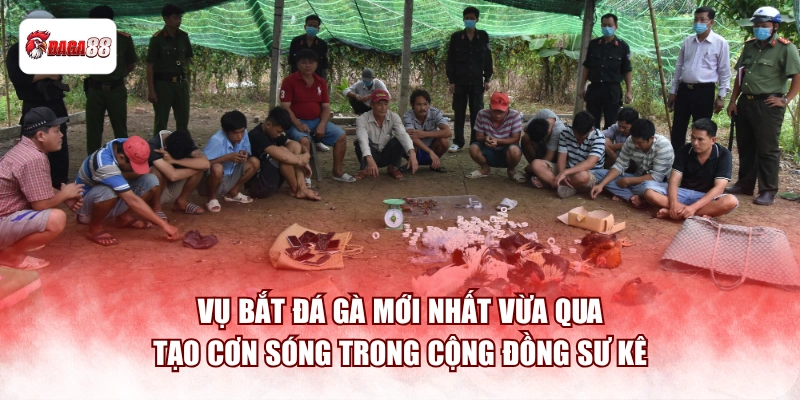 Vụ bắt đá gà mới nhất vừa qua tạo cơn sóng trong cộng đồng sư kê
